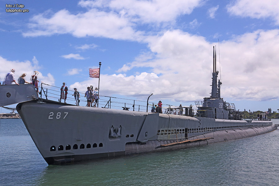 MV1A0378