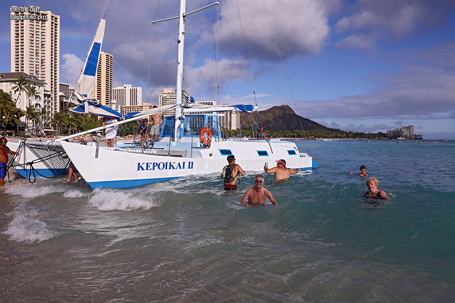 MV1A0439