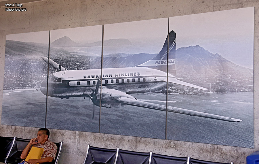MV1A0492