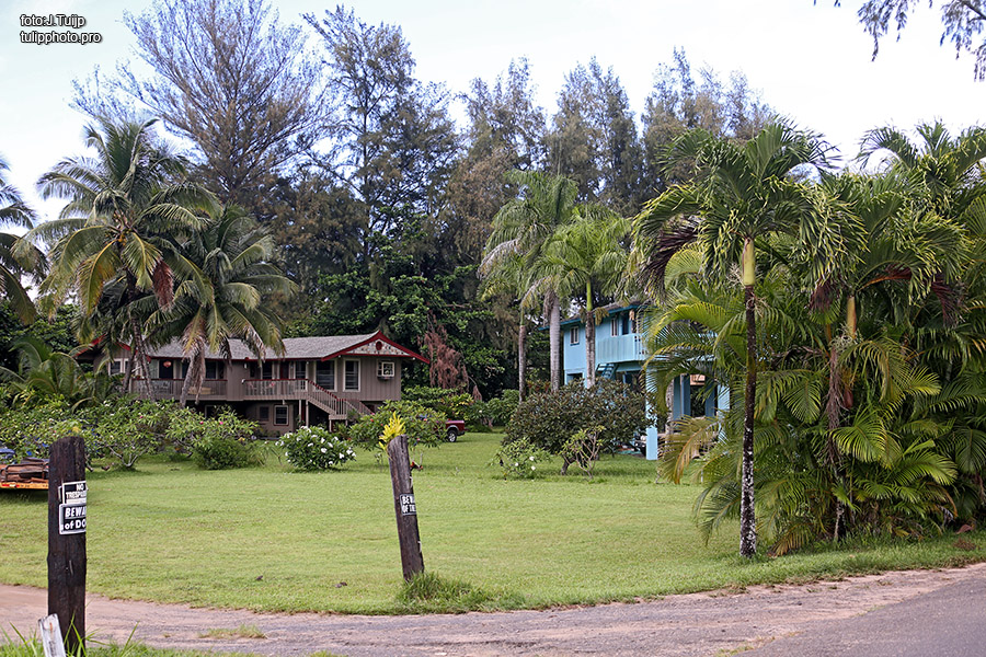 MV1A0656