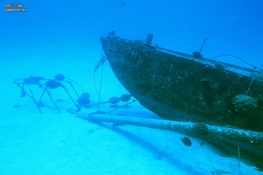 MV1A2833