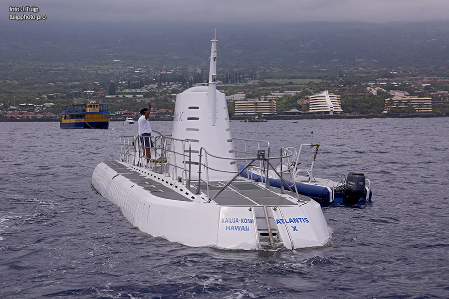 MV1A2864