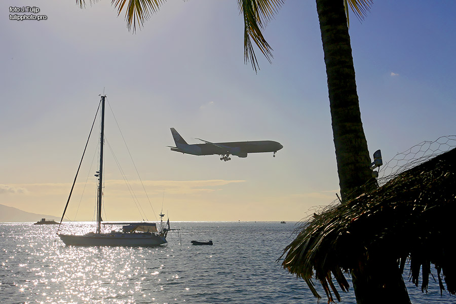 MV1A3320