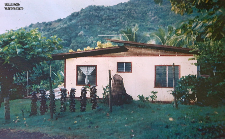 MV1A3925