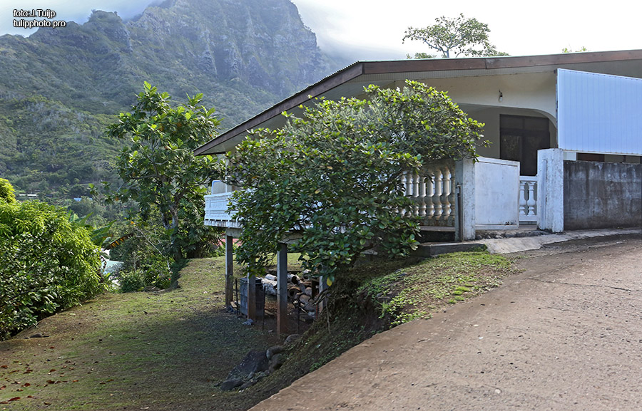 MV1A3929