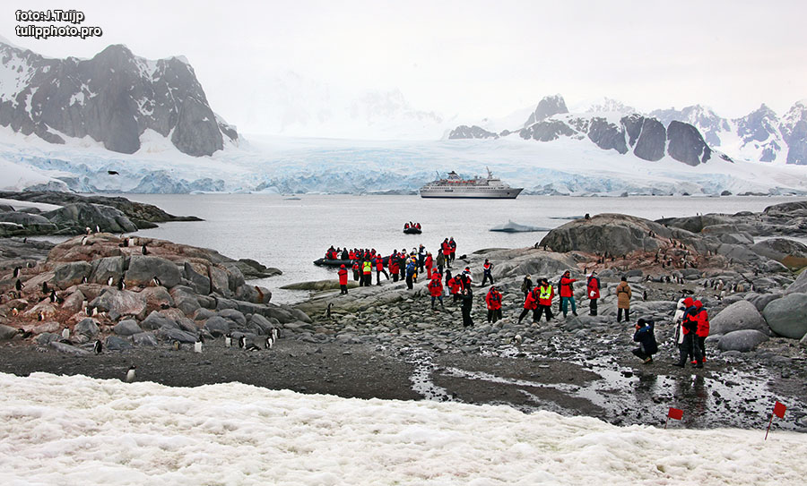 Antarctica079