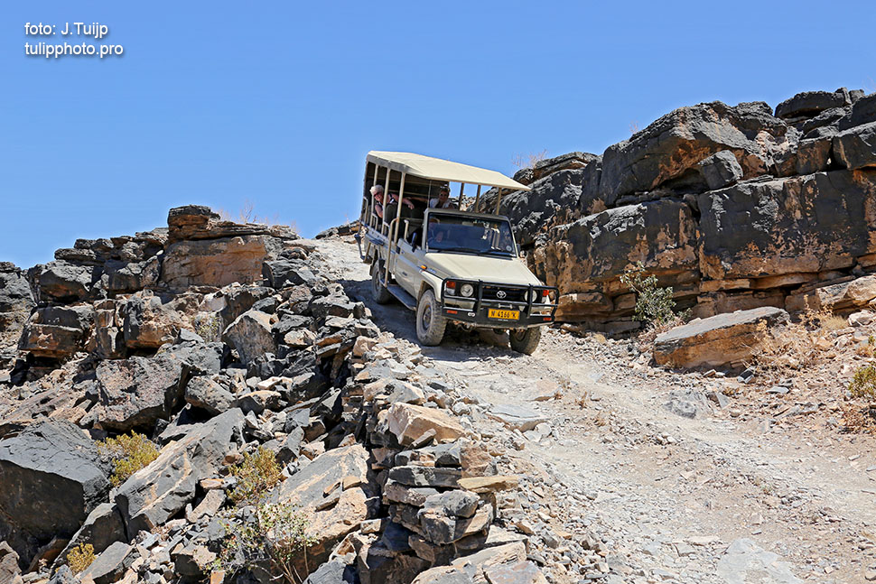 MV1A1395