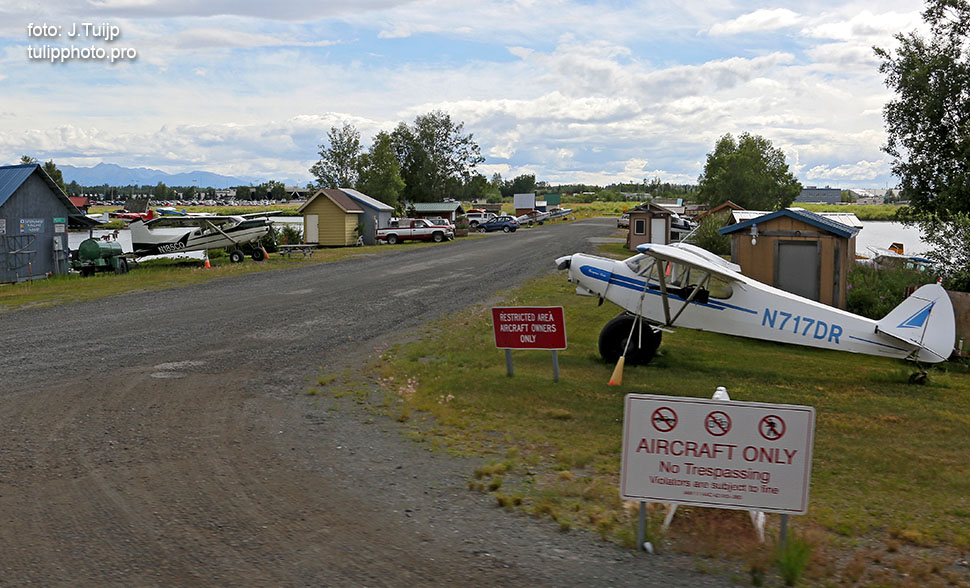 MV1A4731