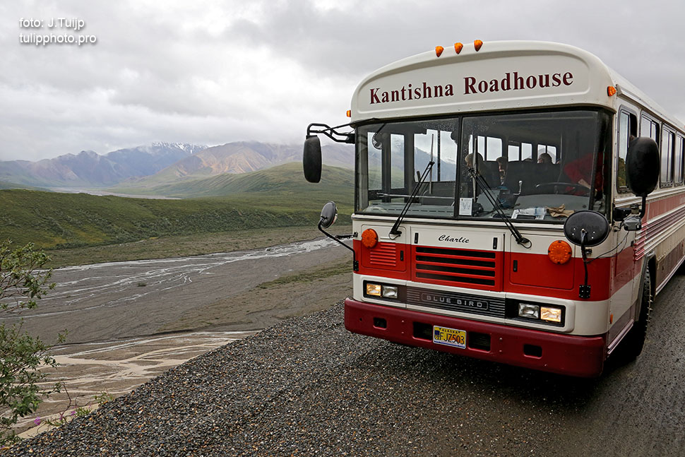 MV1A5504