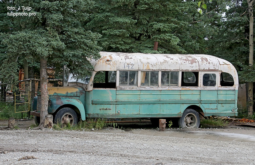 MV1A5852