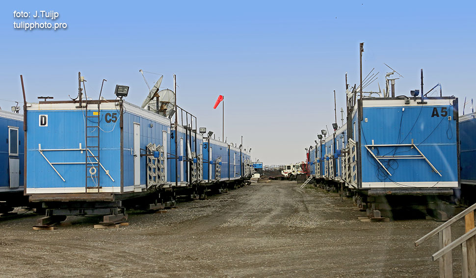 MV1A6013
