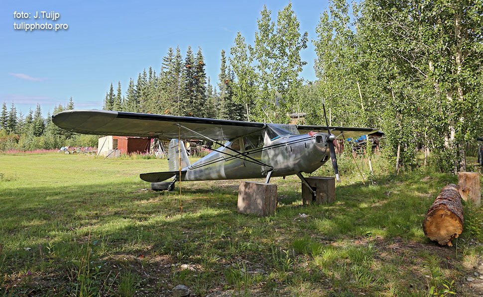 MV1A6825