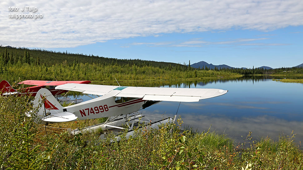 MV1A6901