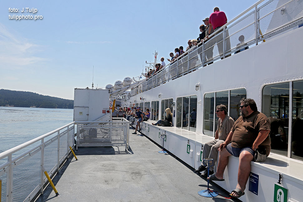 MV1A0722