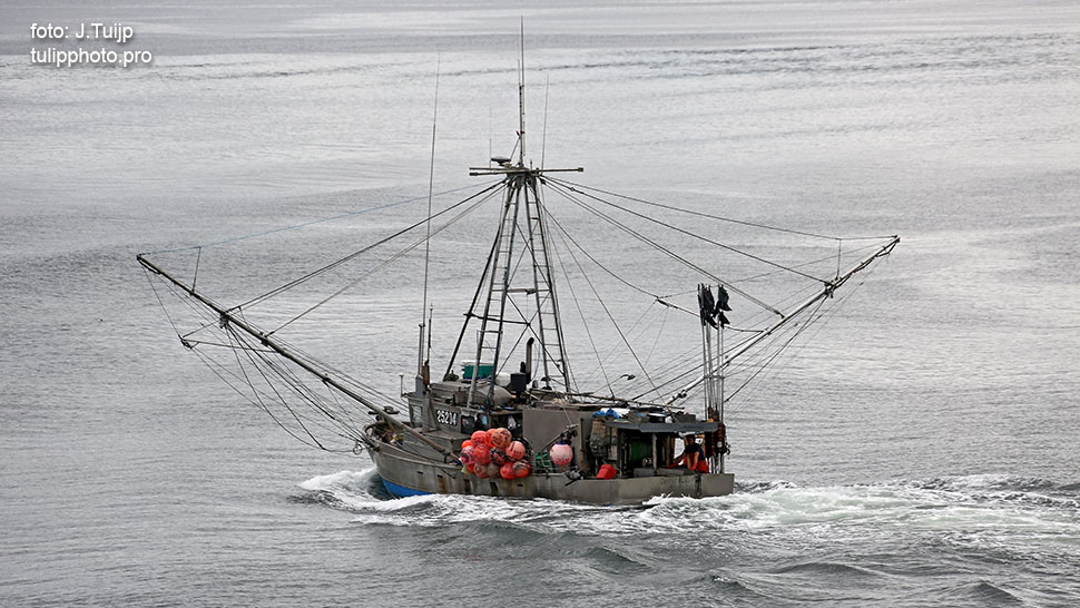 MV1A1492