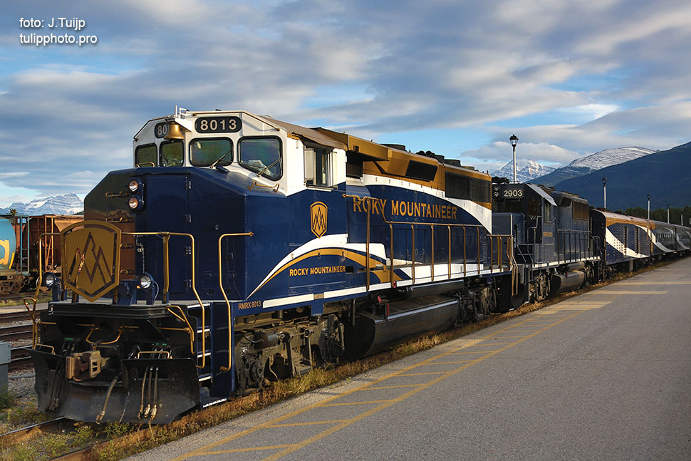 MV1A2499