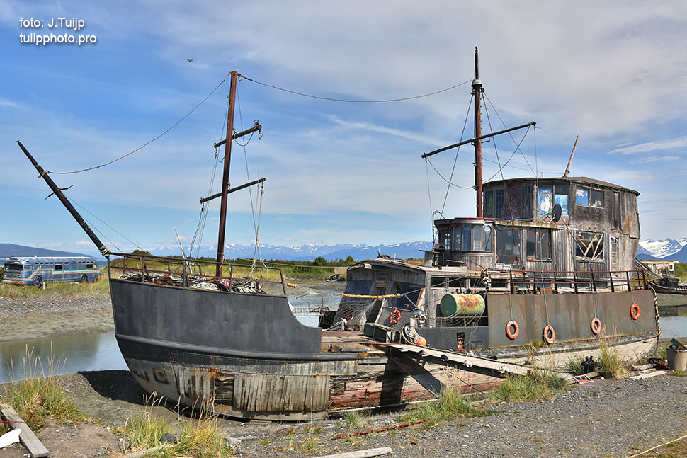 MV1A9215