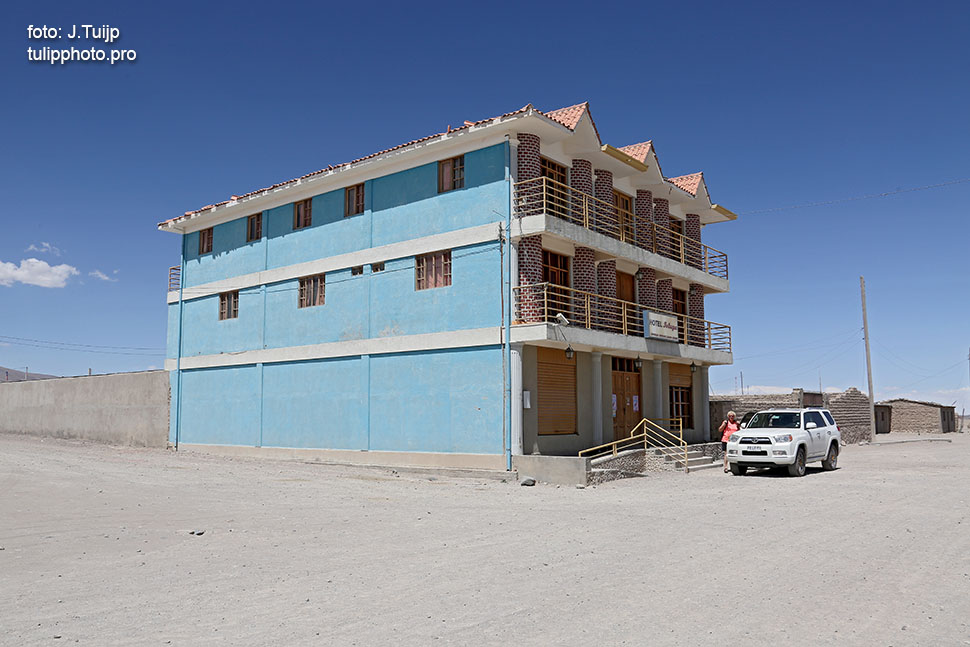 MV1A0956