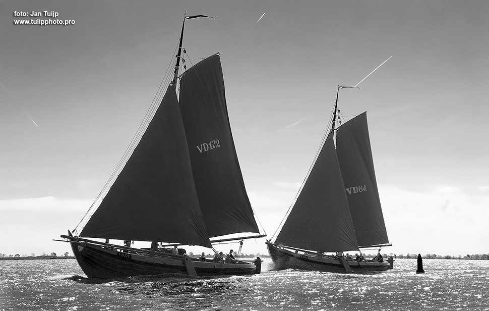 MV1A8915