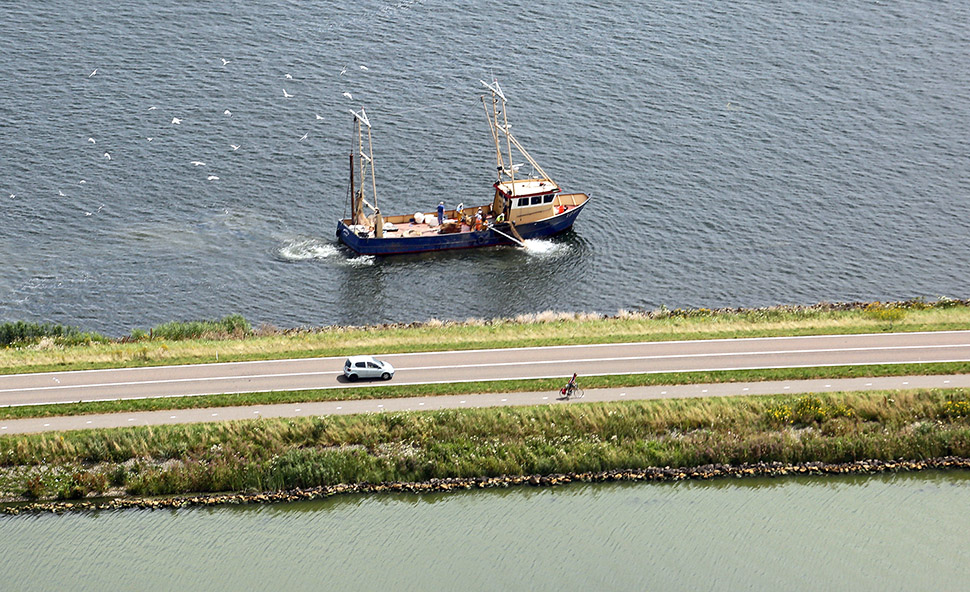 MV1A1872
