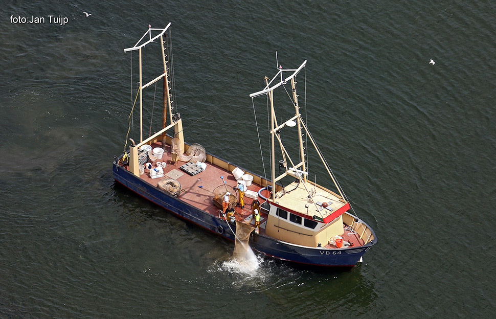 MV1A1881